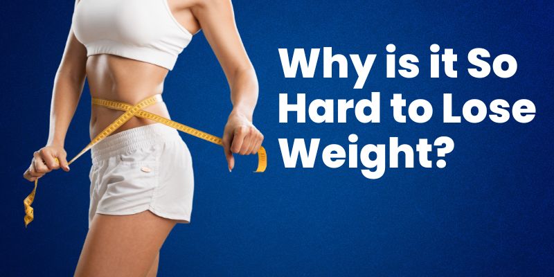 Why is it So Hard to Lose Weight?
