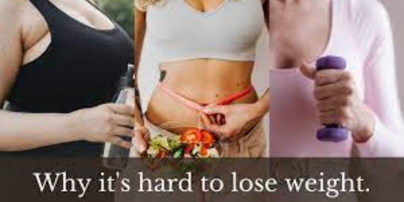 Why is it So Hard to Lose Weight?