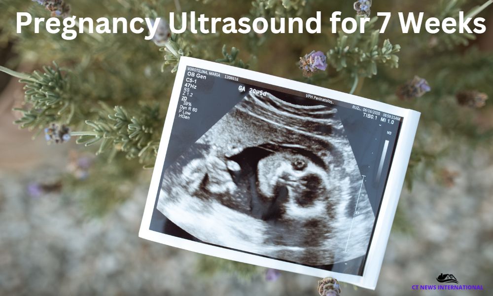 Pregnancy Ultrasound for 7 Weeks